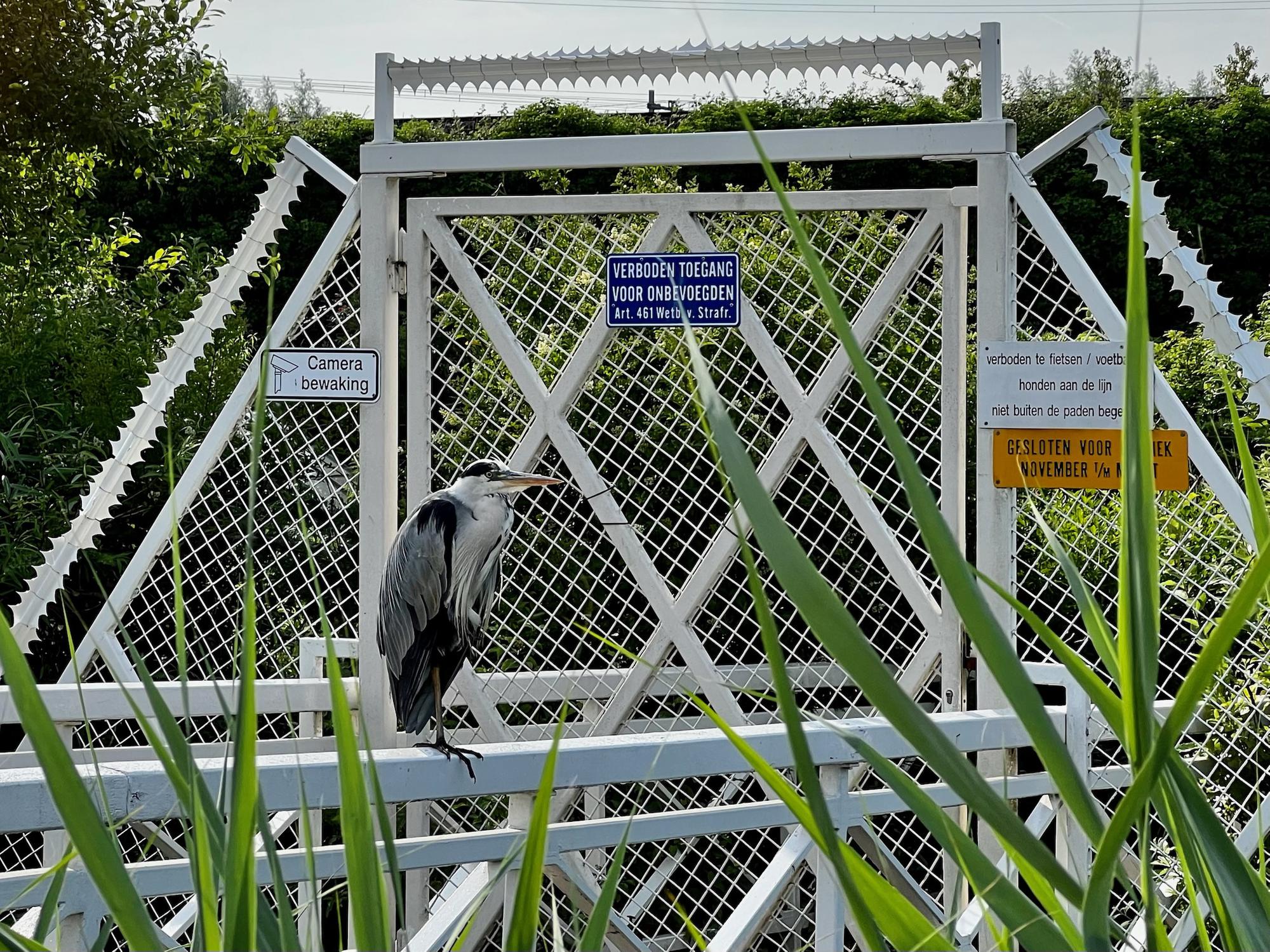 26 nieuwe soorten op Unielijst per 7 augustus 2025