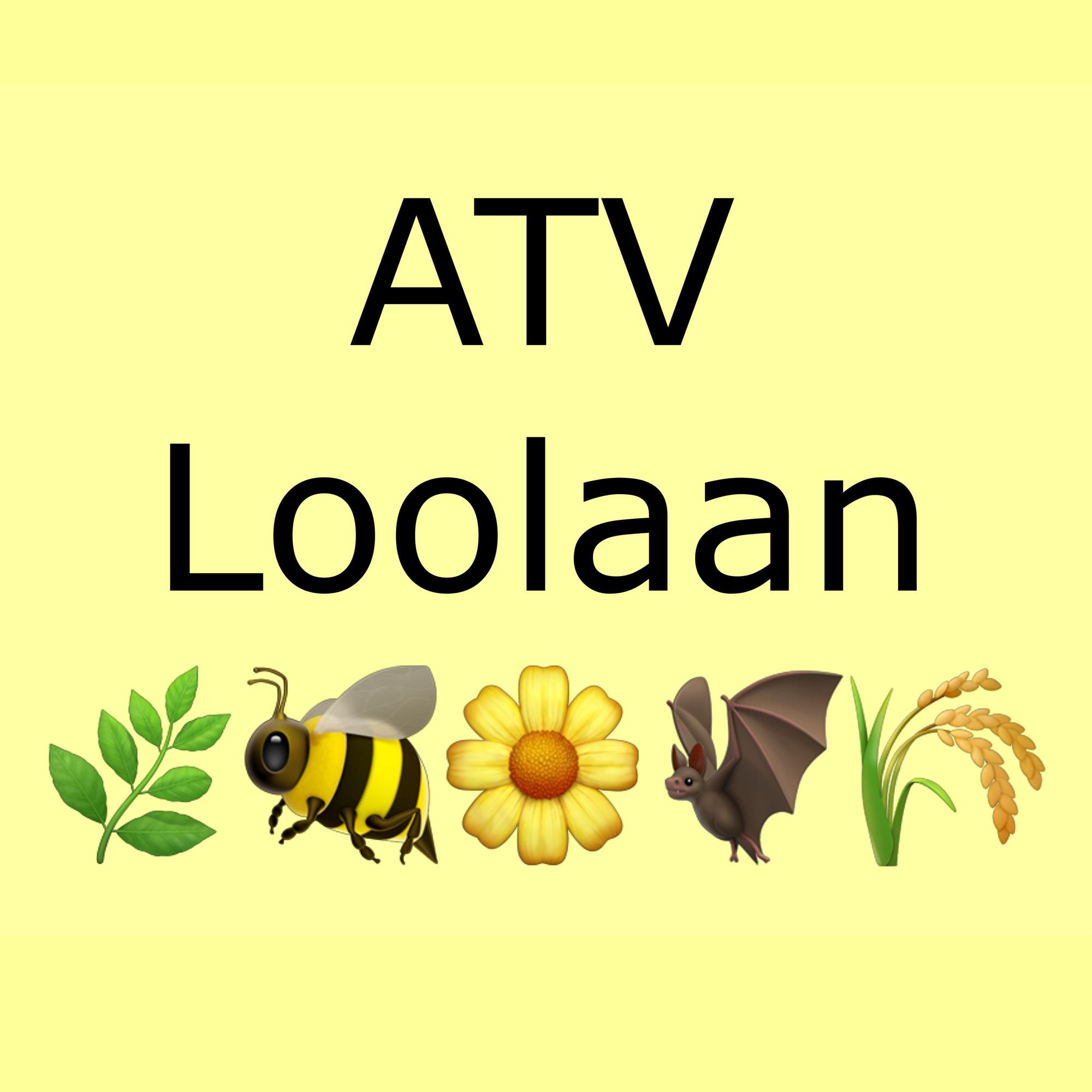 Nieuwsbrief december 2025